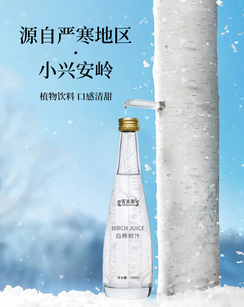 白桦树汁-3.jpg